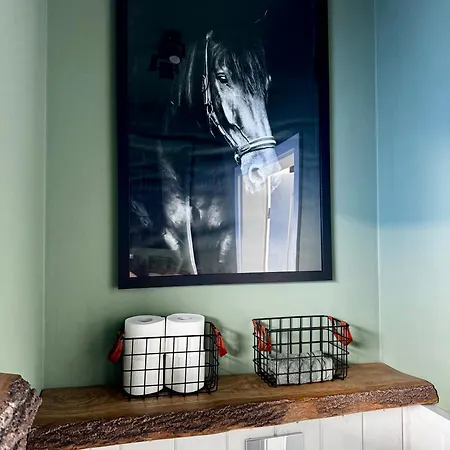 别墅 Bacowki Ochotnica Górna