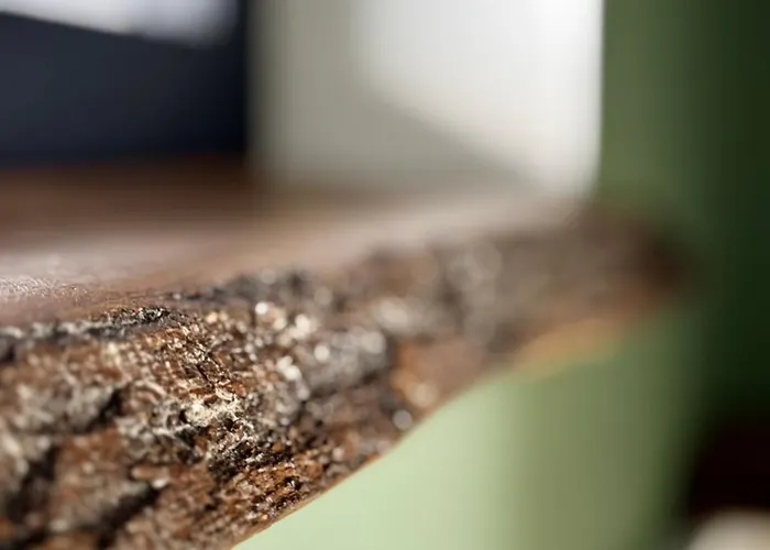 Villa Bacowki Ochotnica Górna